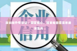 深圳婚外情取证：凝望痴心，独爱难回首哀思最深生肖